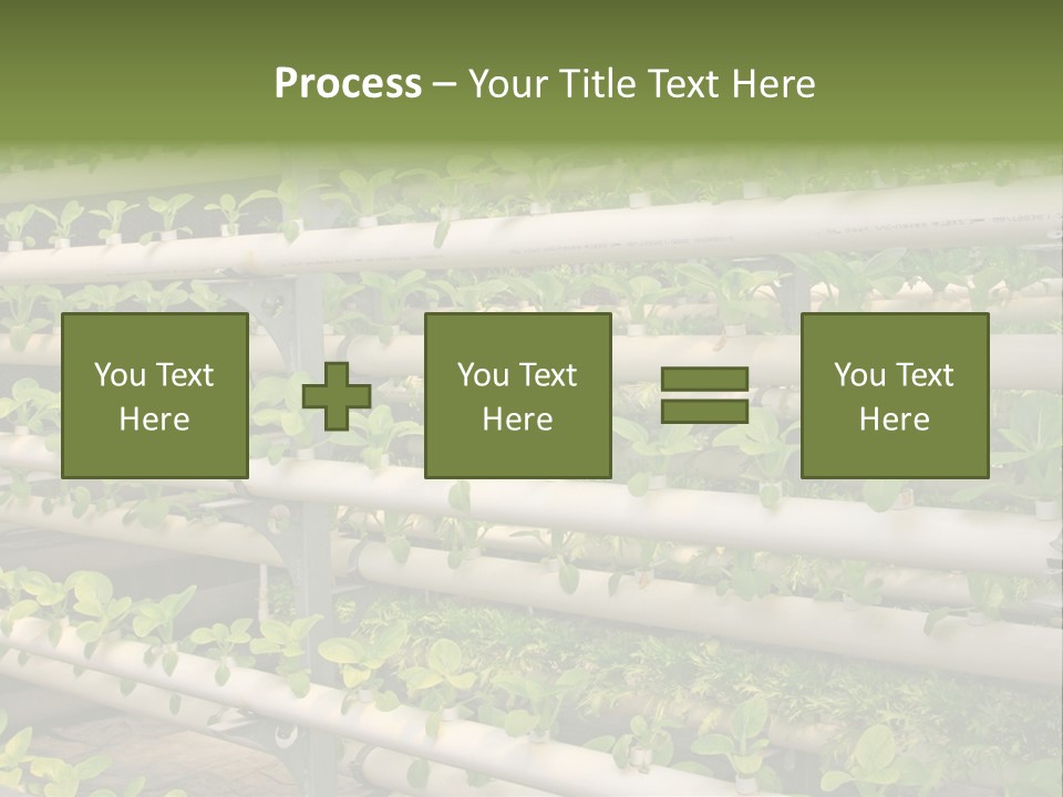 Plants Spring Cultivation PowerPoint Template