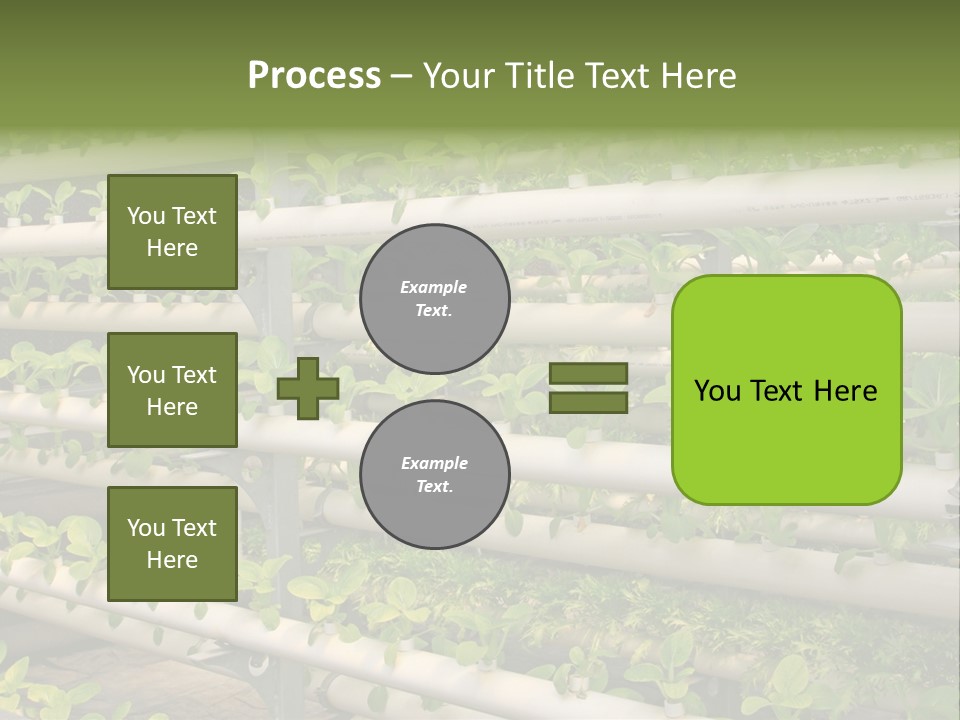 Plants Spring Cultivation PowerPoint Template