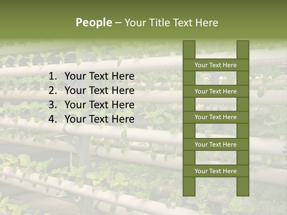 Plants Spring Cultivation PowerPoint Template