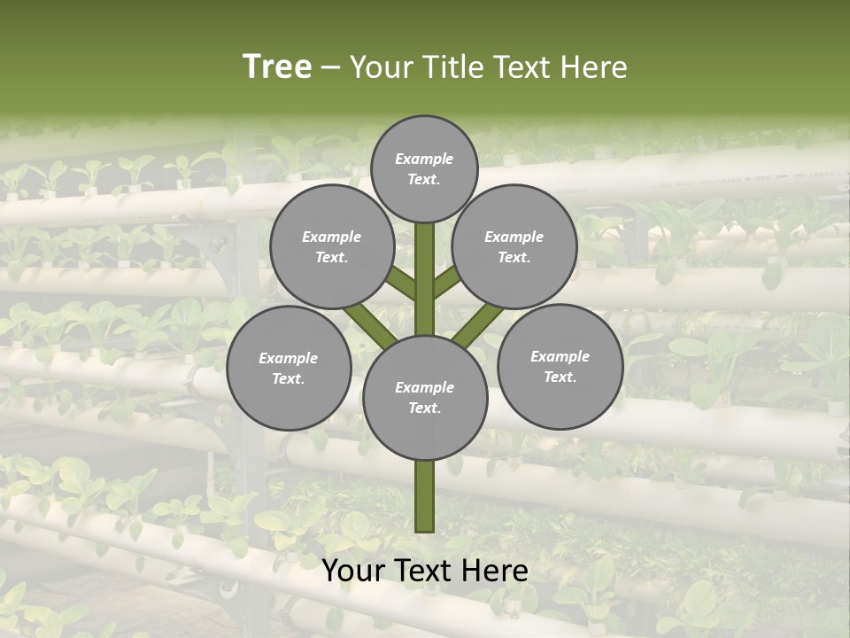 Plants Spring Cultivation PowerPoint Template