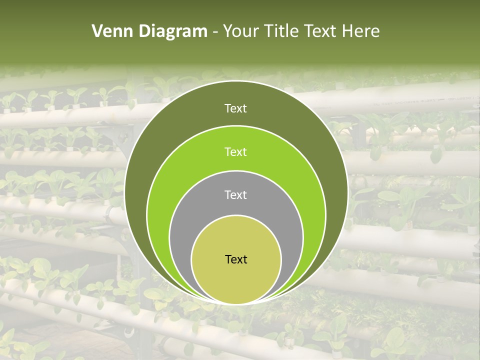 Plants Spring Cultivation PowerPoint Template