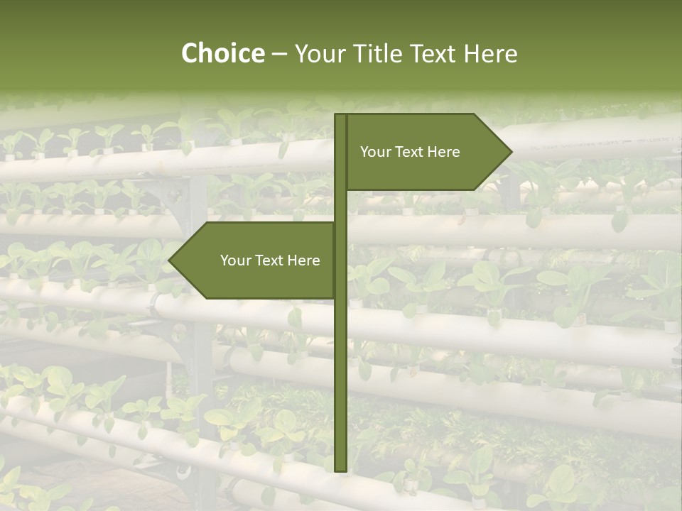 Plants Spring Cultivation PowerPoint Template