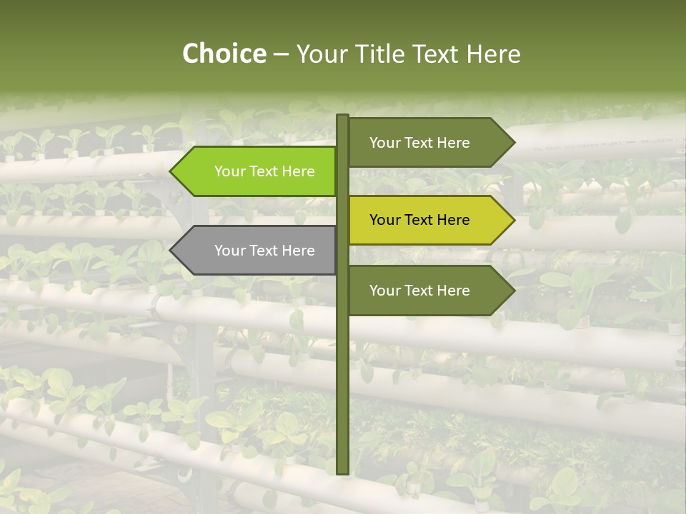 Plants Spring Cultivation PowerPoint Template