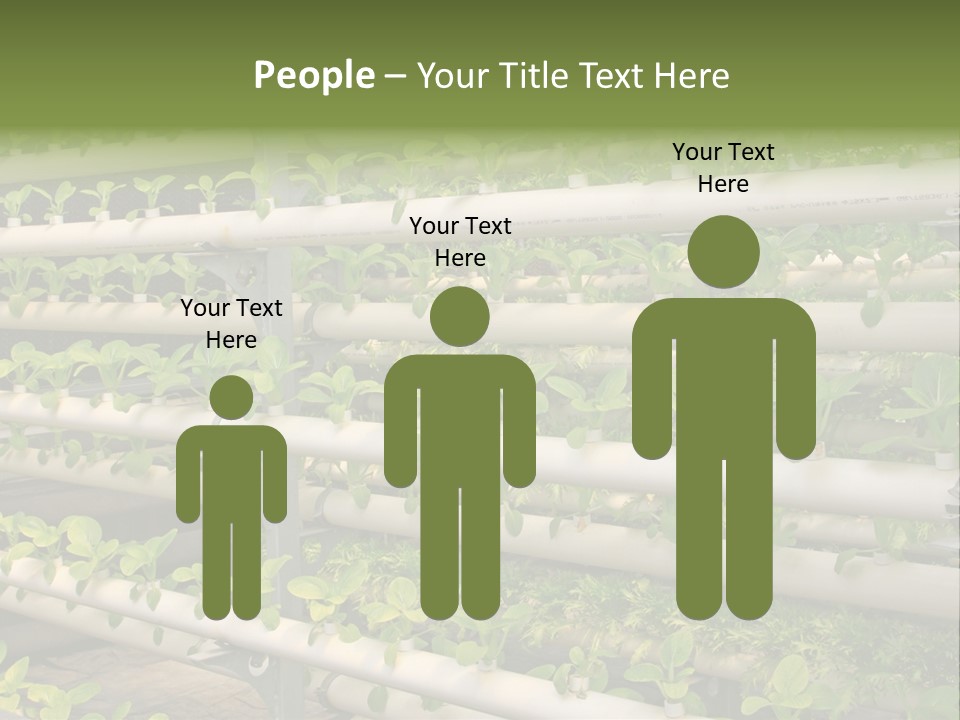 Plants Spring Cultivation PowerPoint Template