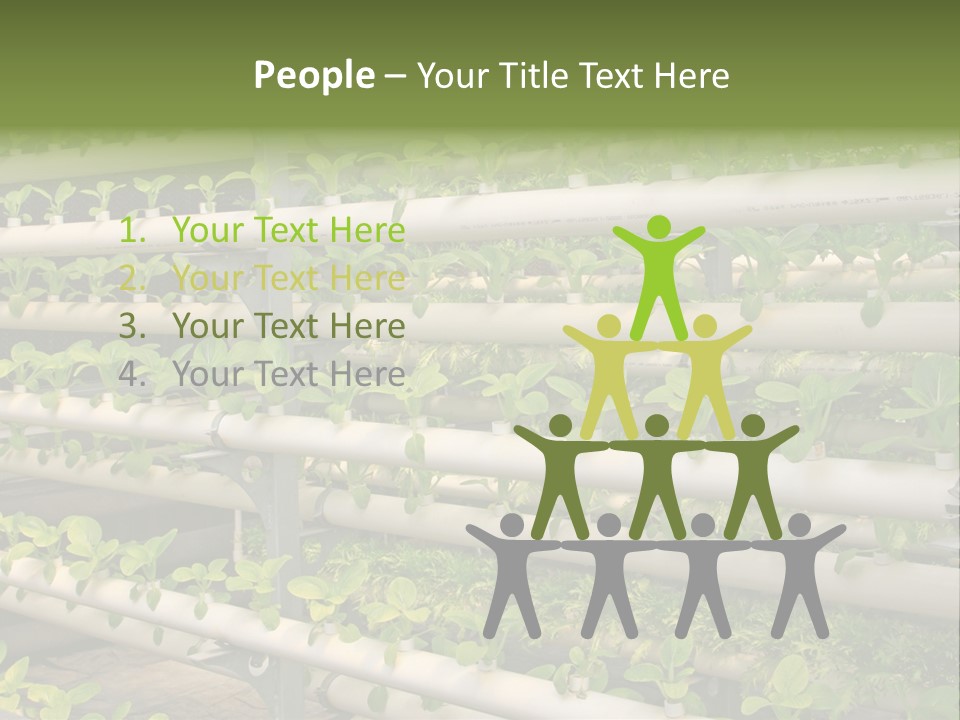 Plants Spring Cultivation PowerPoint Template