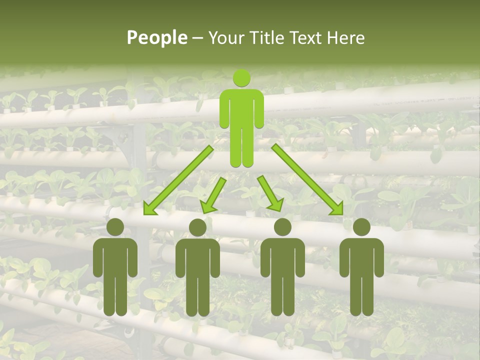 Plants Spring Cultivation PowerPoint Template