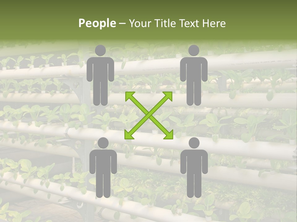 Plants Spring Cultivation PowerPoint Template