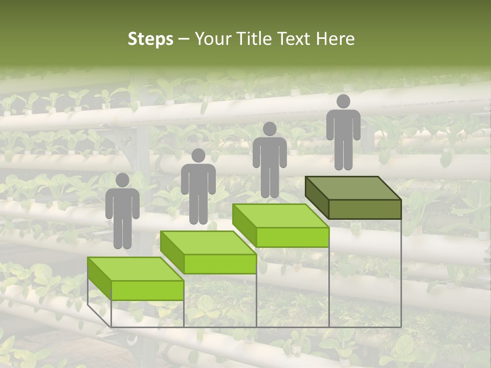 Plants Spring Cultivation PowerPoint Template
