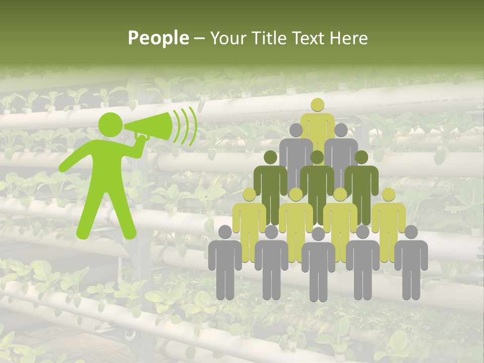 Plants Spring Cultivation PowerPoint Template