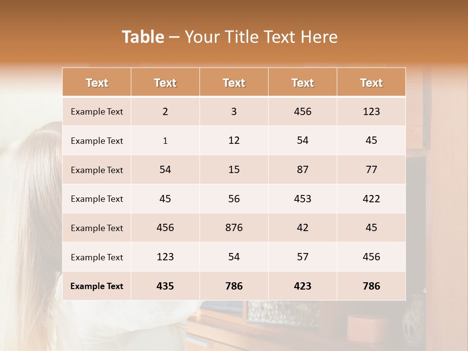 Household Housekeeping Door PowerPoint Template