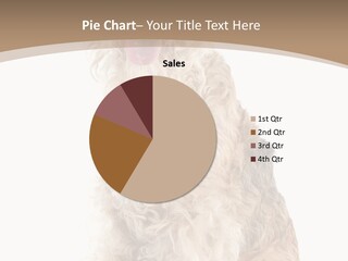 Sitting Pedigree Animal PowerPoint Template