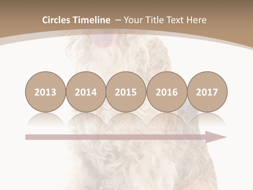 Sitting Pedigree Animal PowerPoint Template