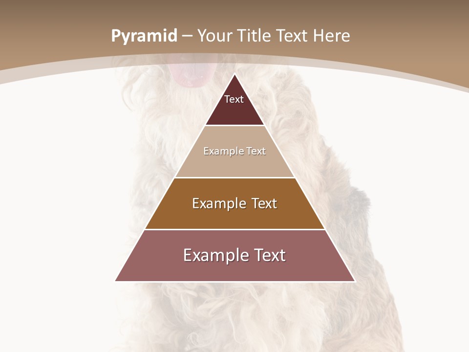 Sitting Pedigree Animal PowerPoint Template