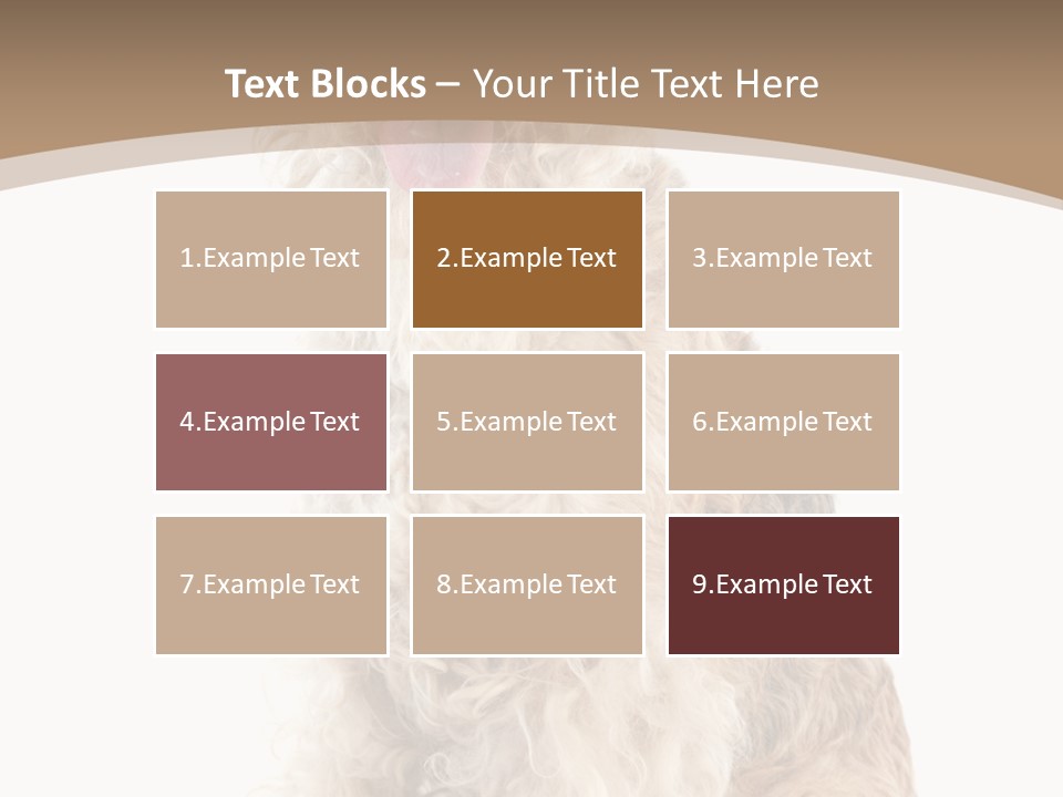 Sitting Pedigree Animal PowerPoint Template