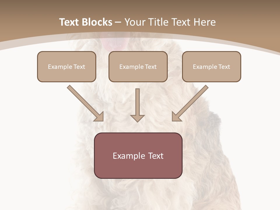 Sitting Pedigree Animal PowerPoint Template