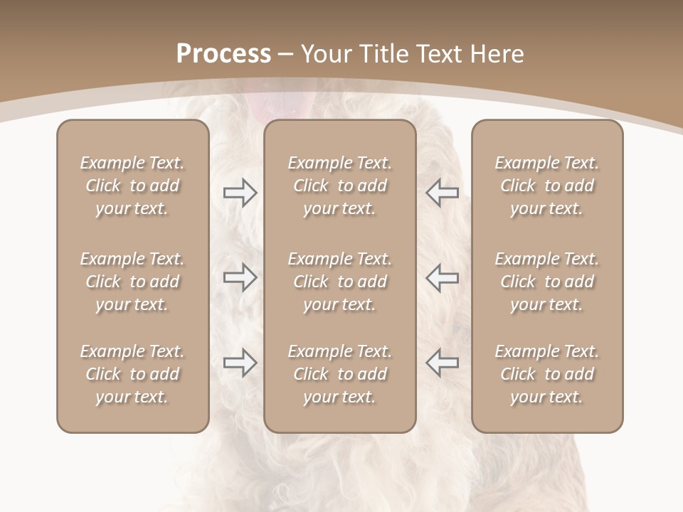 Sitting Pedigree Animal PowerPoint Template
