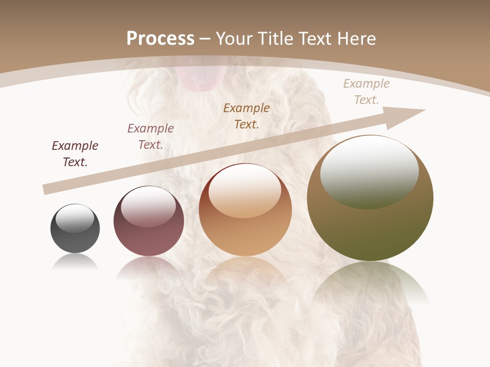 Sitting Pedigree Animal PowerPoint Template