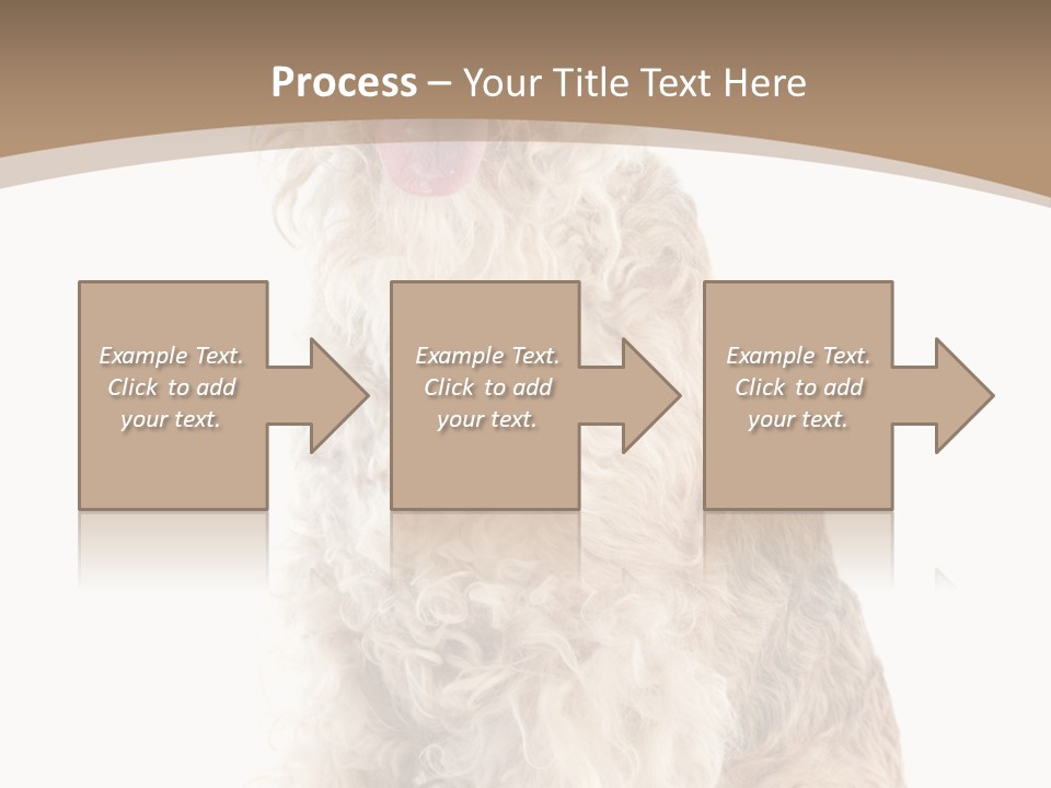 Sitting Pedigree Animal PowerPoint Template