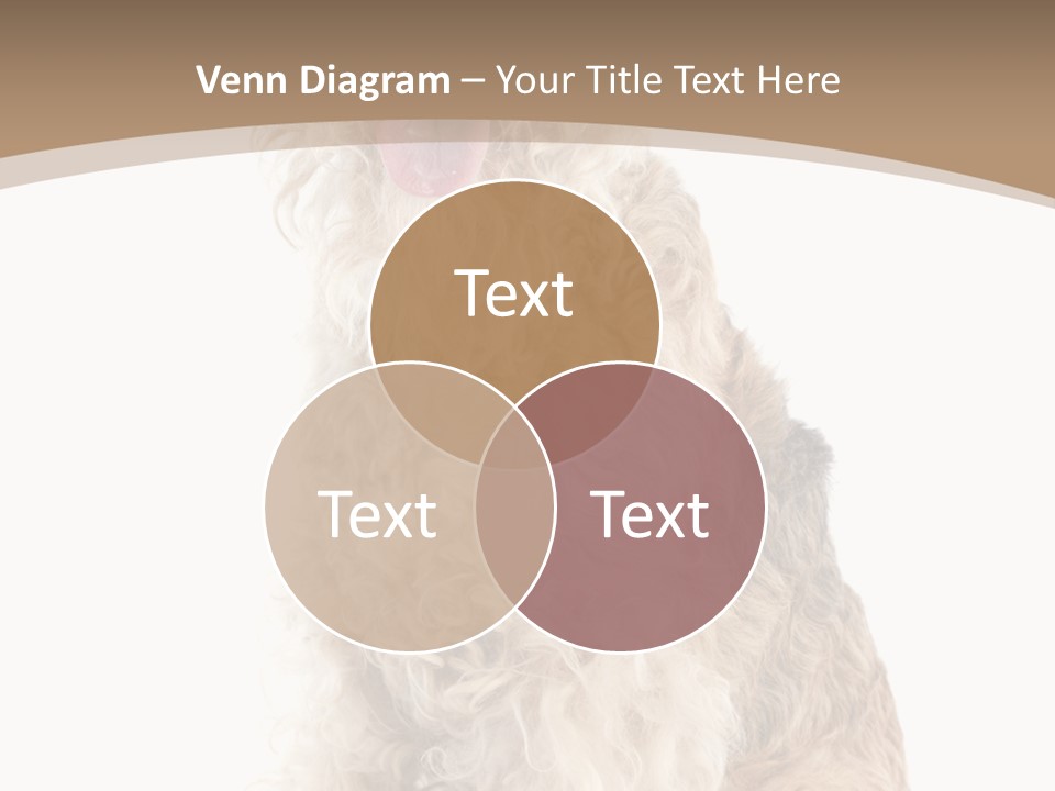 Sitting Pedigree Animal PowerPoint Template