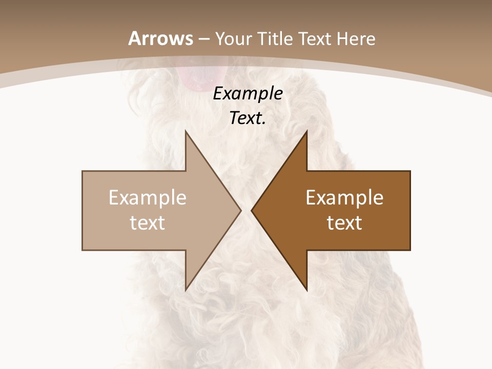 Sitting Pedigree Animal PowerPoint Template