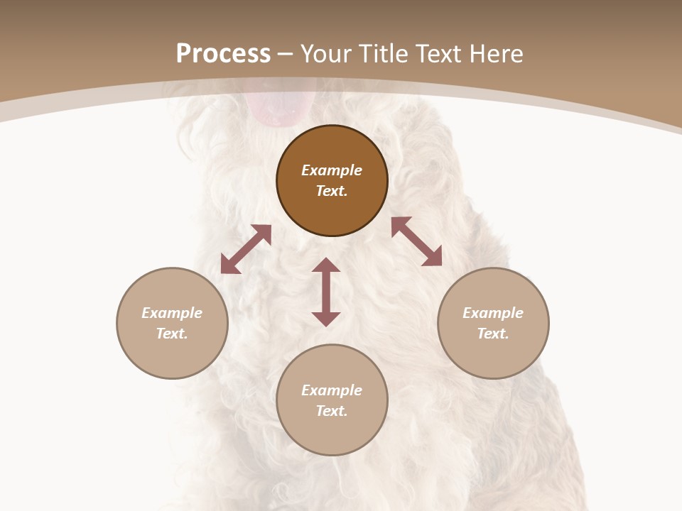 Sitting Pedigree Animal PowerPoint Template
