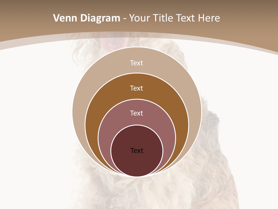 Sitting Pedigree Animal PowerPoint Template
