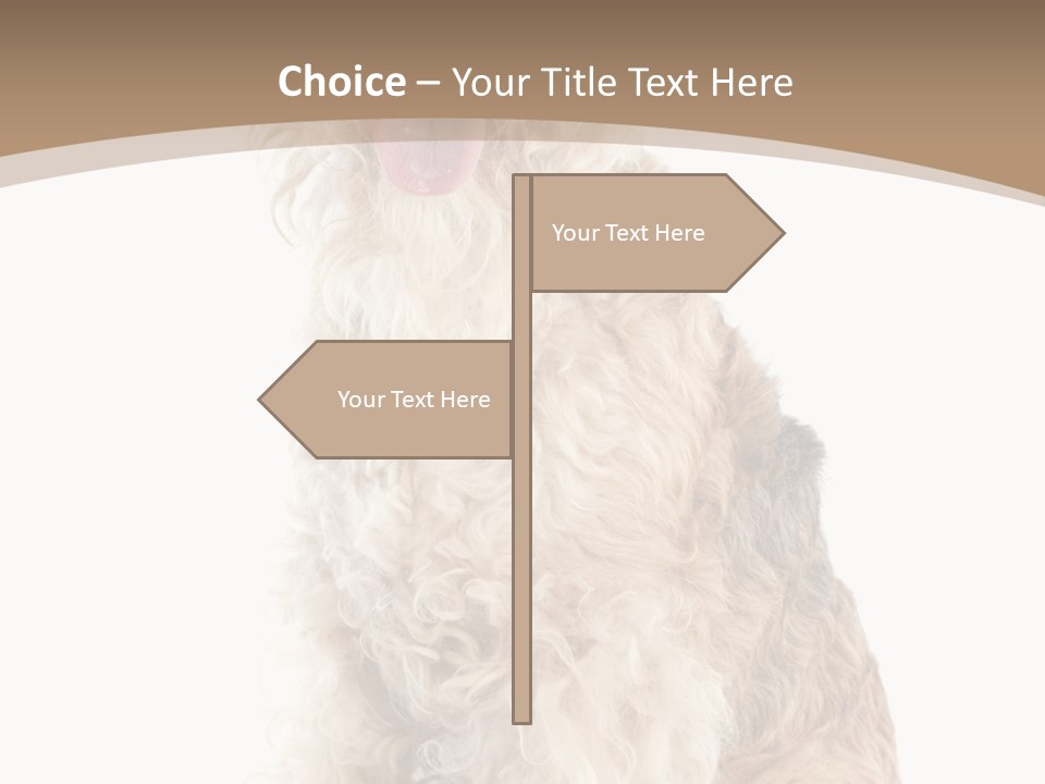 Sitting Pedigree Animal PowerPoint Template