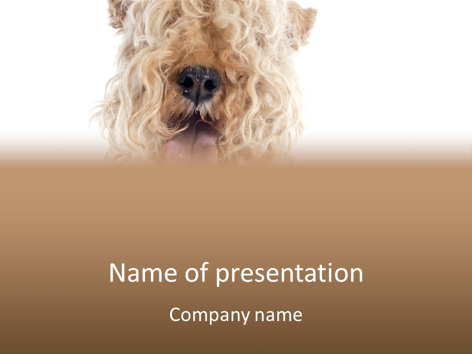 Fox Terrier Canine Studio PowerPoint Template