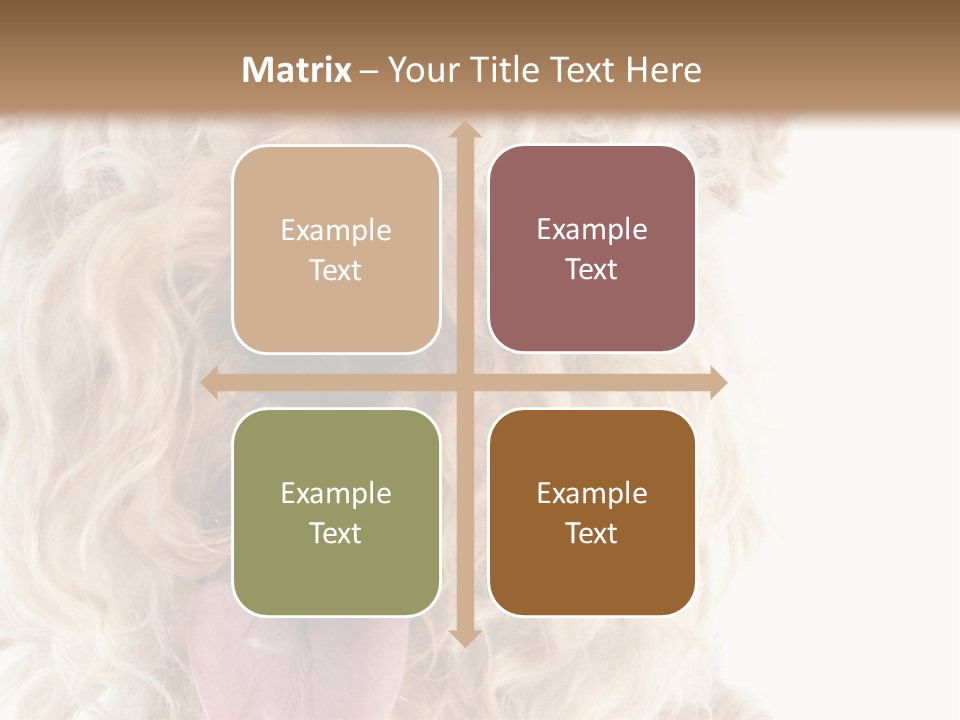 Fox Terrier Canine Studio PowerPoint Template