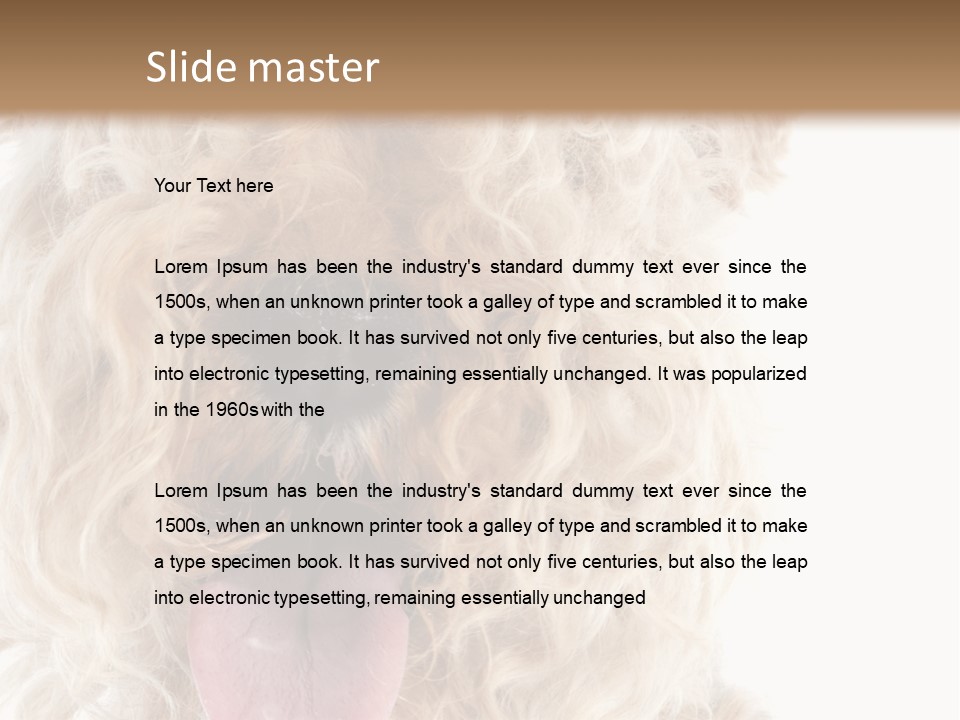 Fox Terrier Canine Studio PowerPoint Template