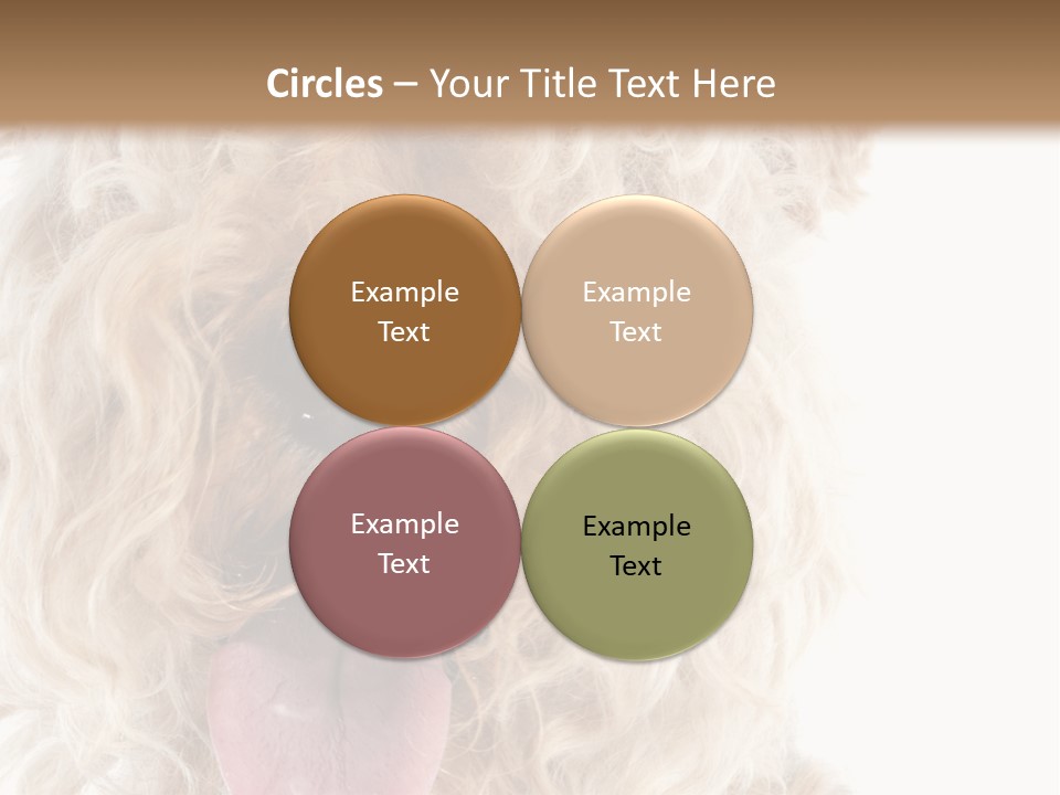 Fox Terrier Canine Studio PowerPoint Template