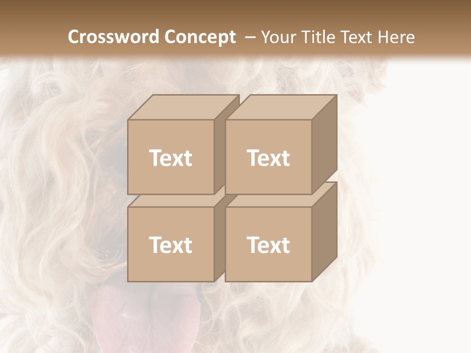 Fox Terrier Canine Studio PowerPoint Template