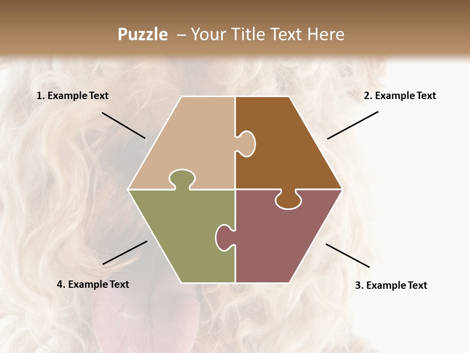 Fox Terrier Canine Studio PowerPoint Template