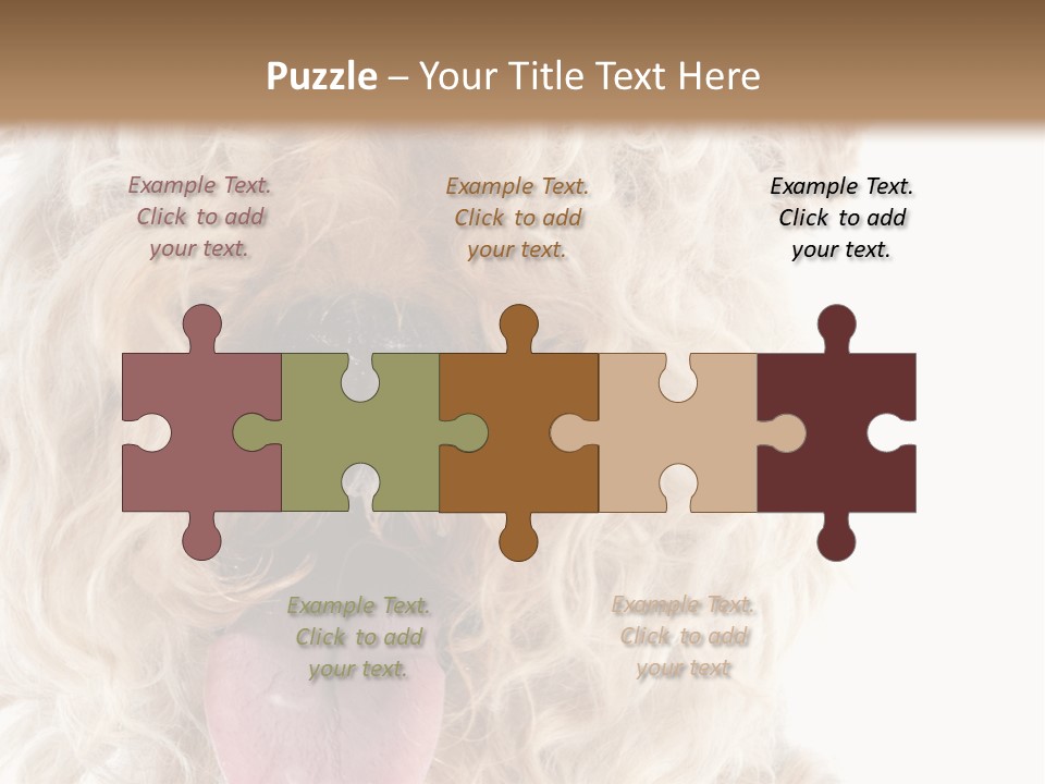 Fox Terrier Canine Studio PowerPoint Template