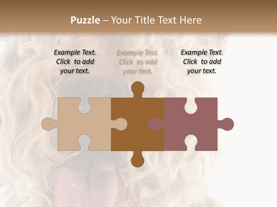 Fox Terrier Canine Studio PowerPoint Template