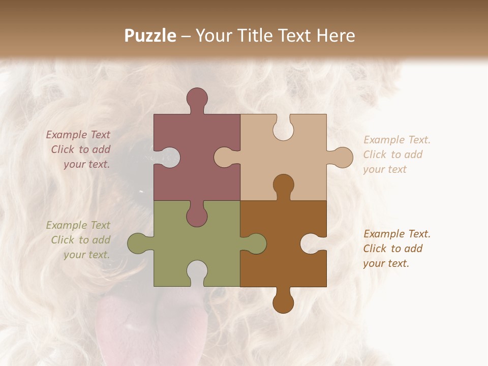 Fox Terrier Canine Studio PowerPoint Template