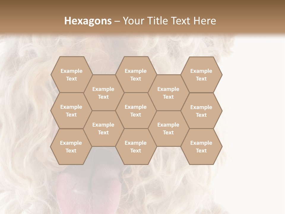 Fox Terrier Canine Studio PowerPoint Template