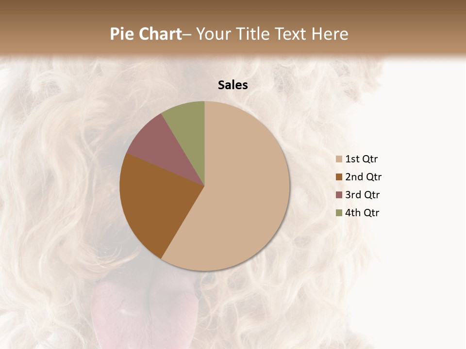 Fox Terrier Canine Studio PowerPoint Template