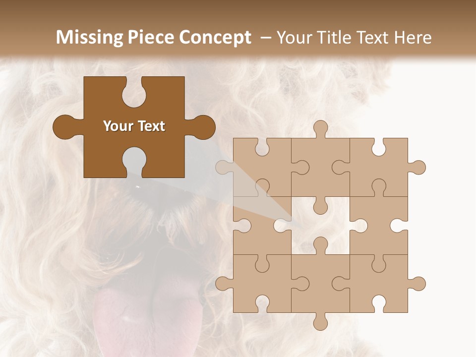 Fox Terrier Canine Studio PowerPoint Template