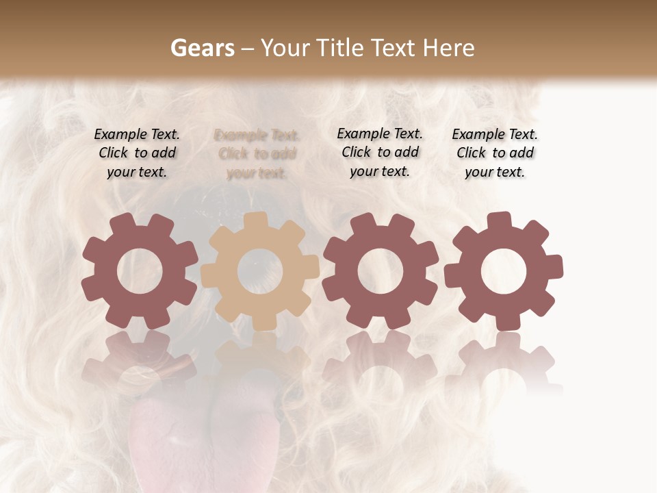 Fox Terrier Canine Studio PowerPoint Template