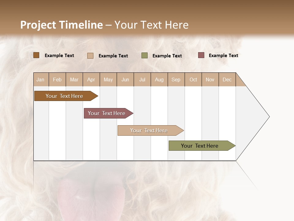 Fox Terrier Canine Studio PowerPoint Template