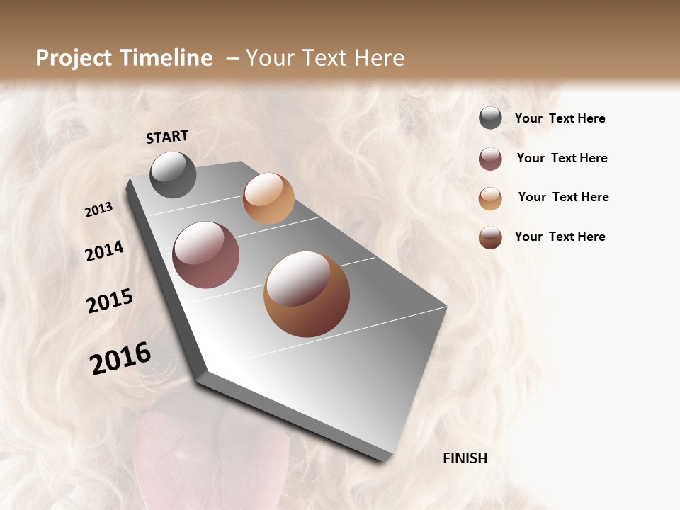 Fox Terrier Canine Studio PowerPoint Template