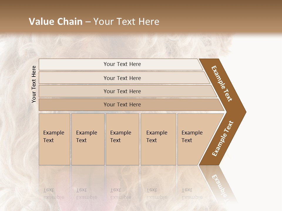 Fox Terrier Canine Studio PowerPoint Template