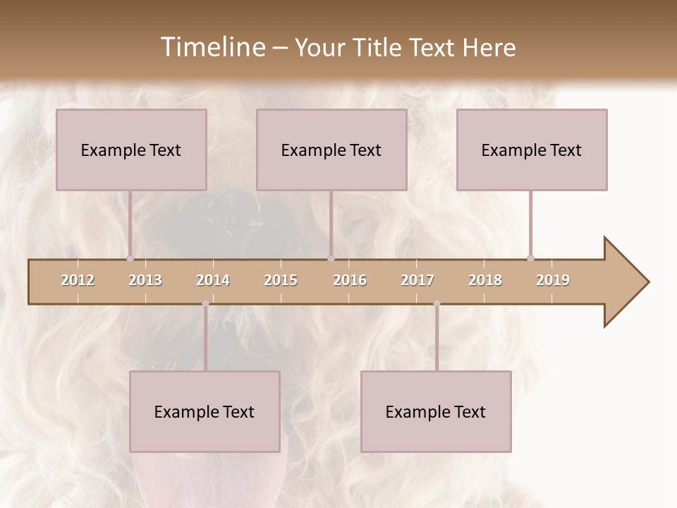 Fox Terrier Canine Studio PowerPoint Template