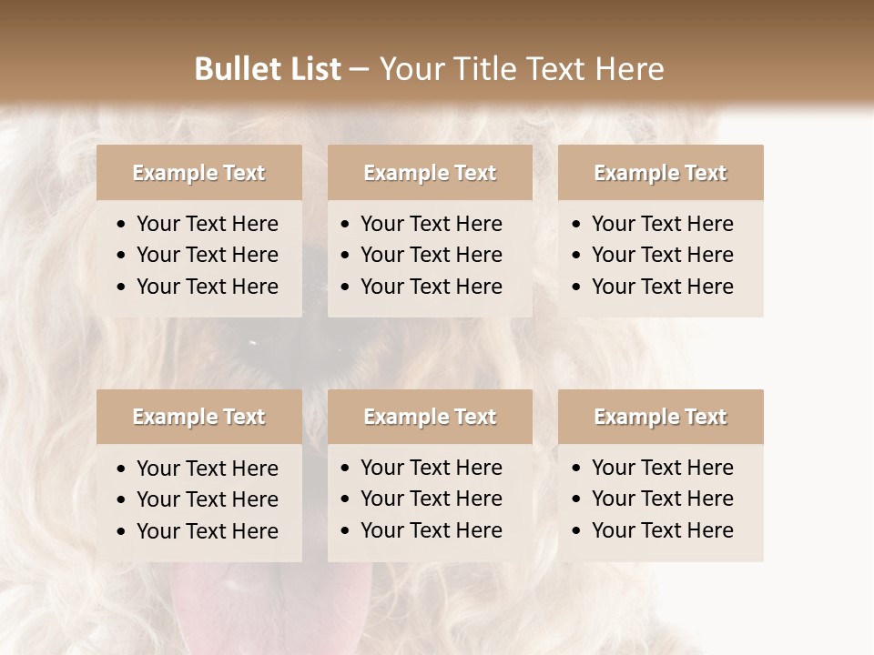 Fox Terrier Canine Studio PowerPoint Template