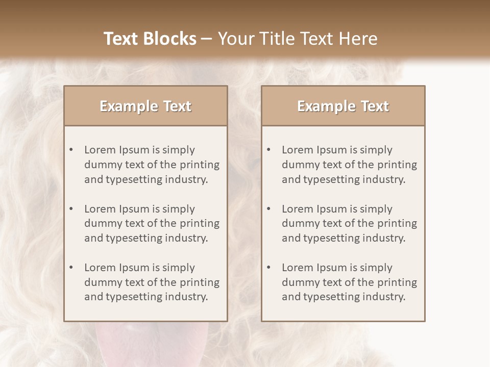 Fox Terrier Canine Studio PowerPoint Template