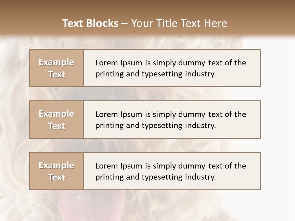 Fox Terrier Canine Studio PowerPoint Template