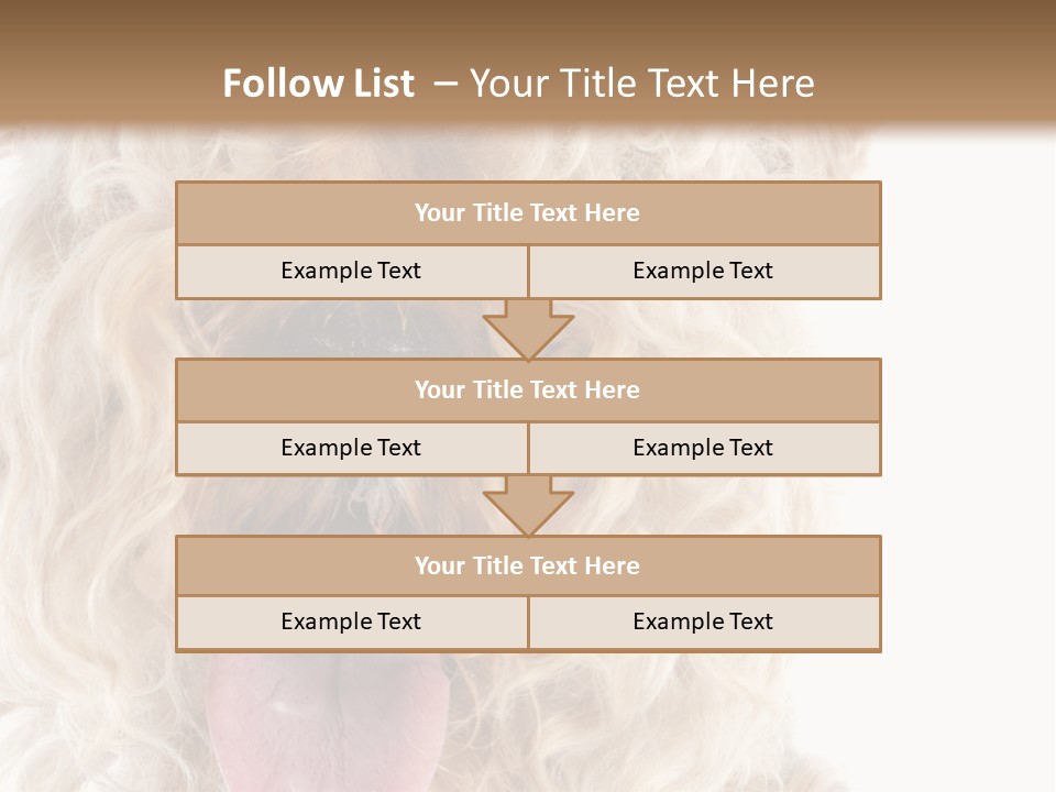 Fox Terrier Canine Studio PowerPoint Template