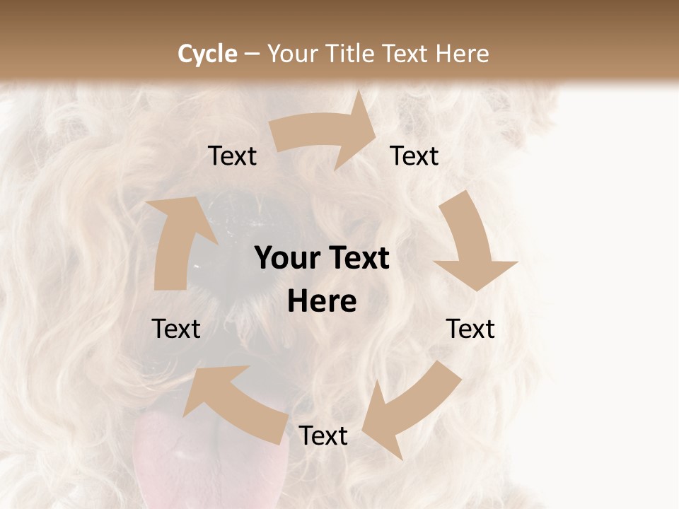 Fox Terrier Canine Studio PowerPoint Template