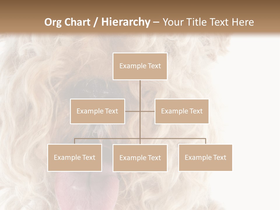 Fox Terrier Canine Studio PowerPoint Template